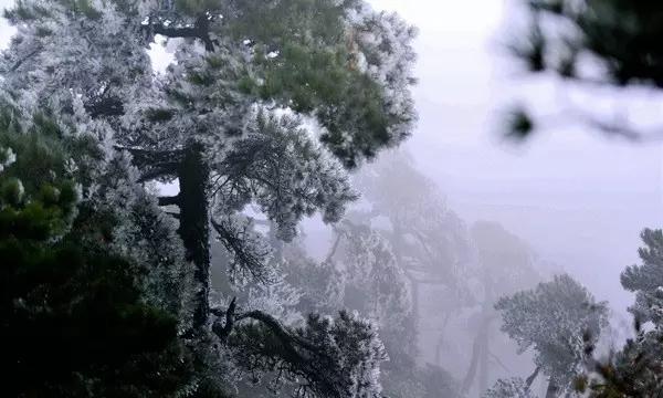 喜欢怎么说-冷知识分享平台