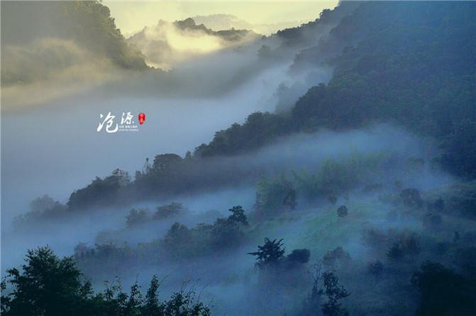 涉嫌插足马伊琍婚姻后,姚笛感情事业低迷,学文章转型幕后做导演