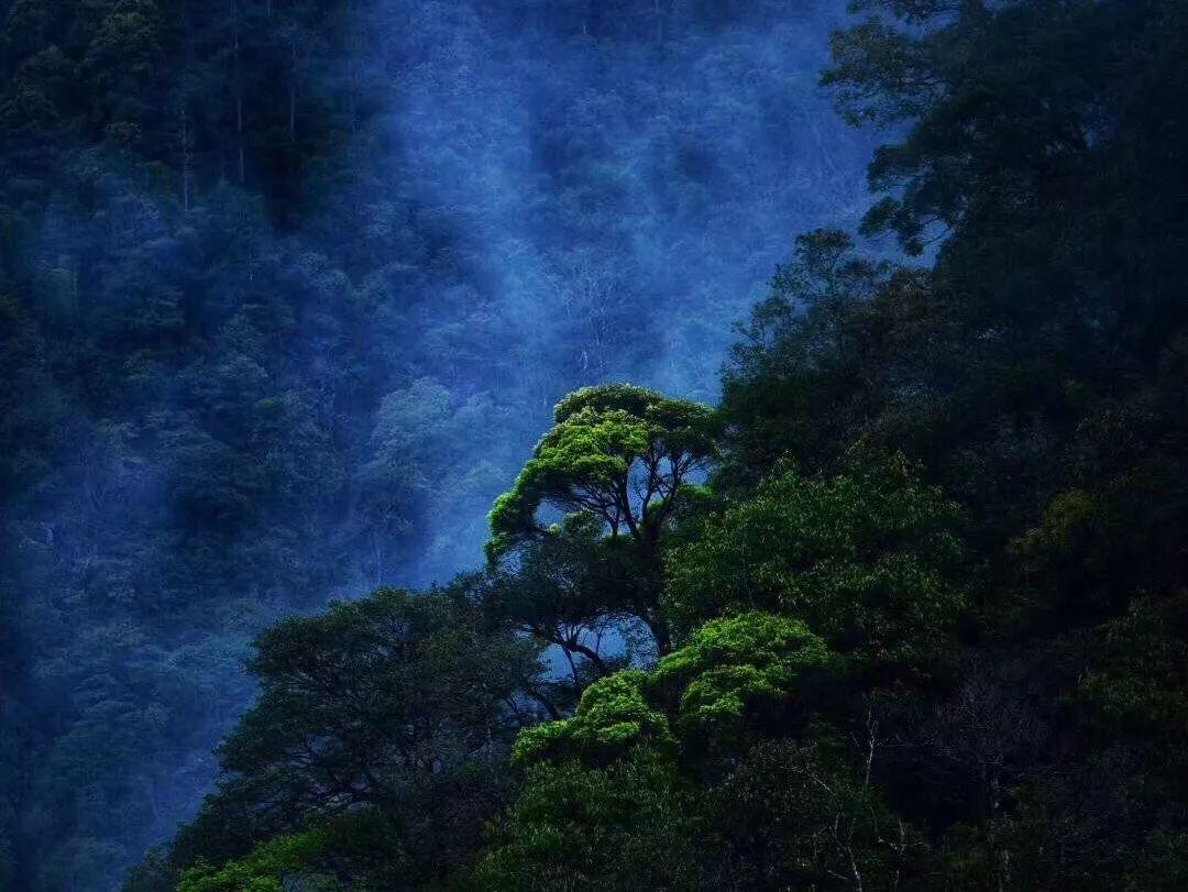 石器战争