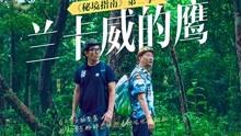 哈尔滨官方通报“网传游客1680元报团游早餐吃稀饭馒头”：双方已和解