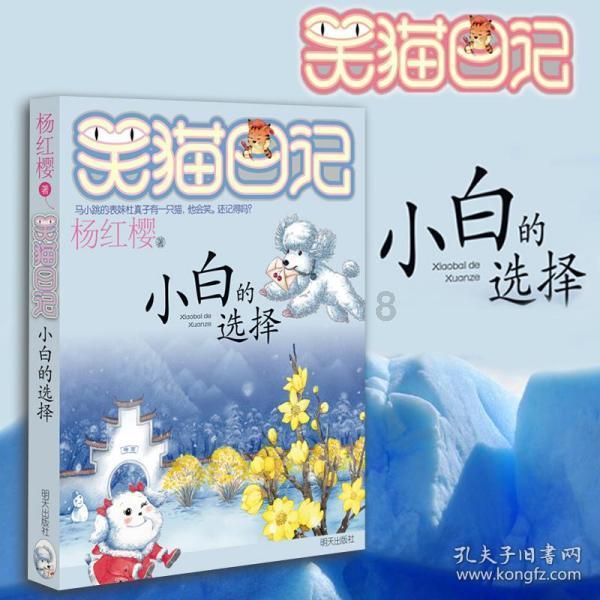 【两会·黔言】霍雨佳委员:强化智算能力建设 大力发展人工智能