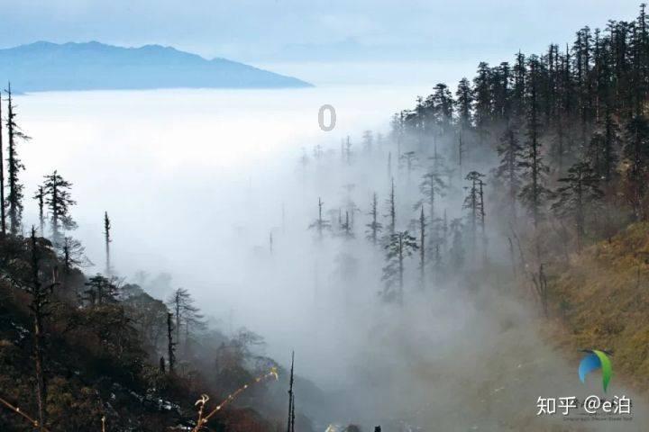 对象做饭失败了我要怎么安慰他？游戏画面