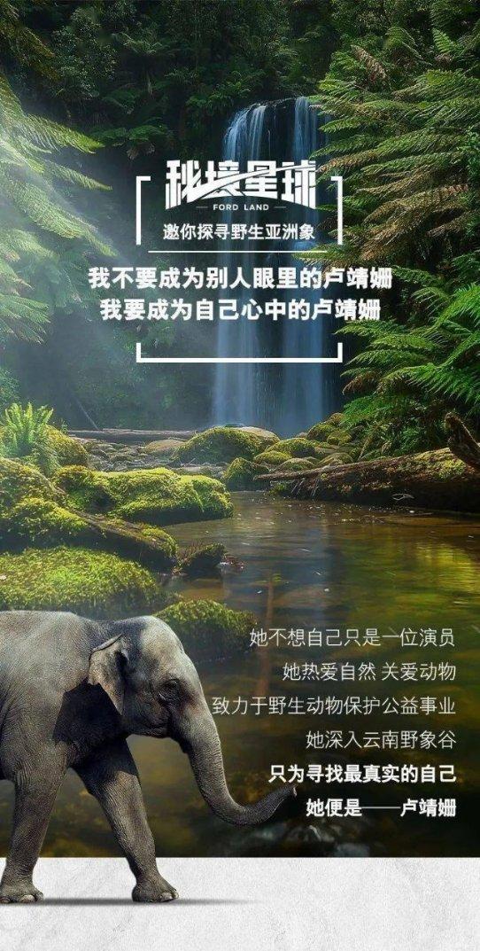月光影视