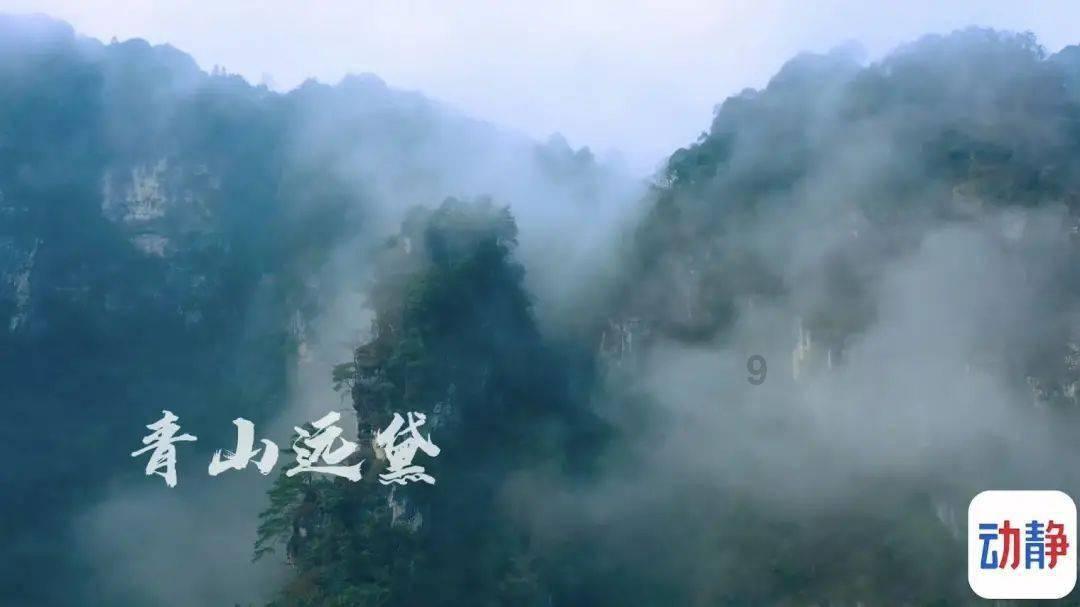 胆固醇是一种脂类物质,它在人体中起着重要的生理功能