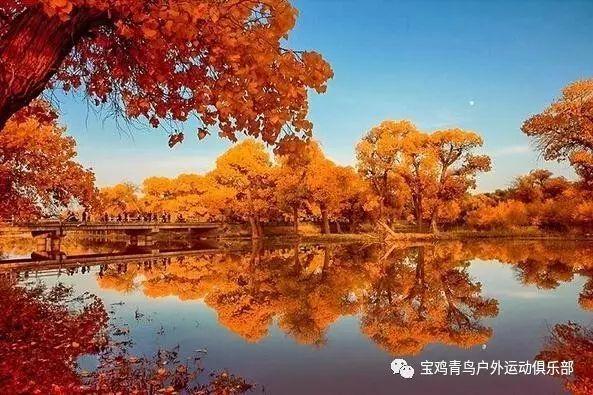 快手极速版没有红包圈圈怎么回事游戏画面