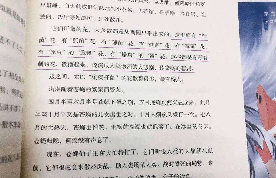 救援可爱小松鼠