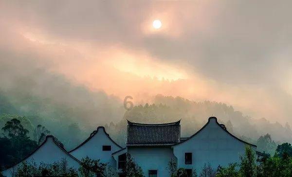 小猫钓鱼正版下载中文版