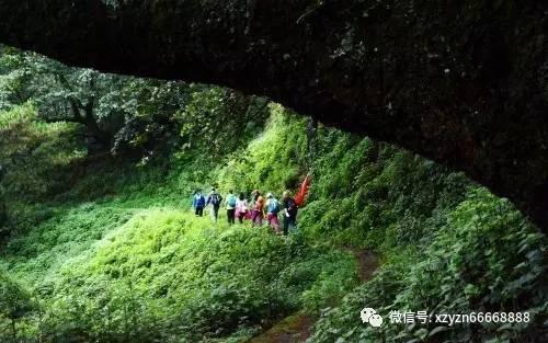 室友的矛盾