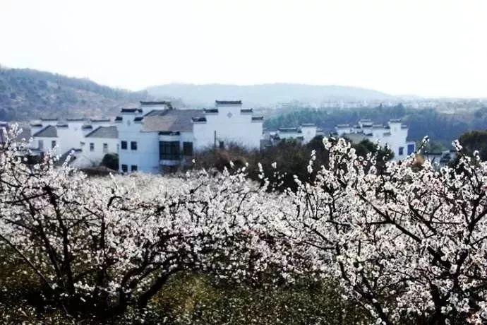 枪火游侠