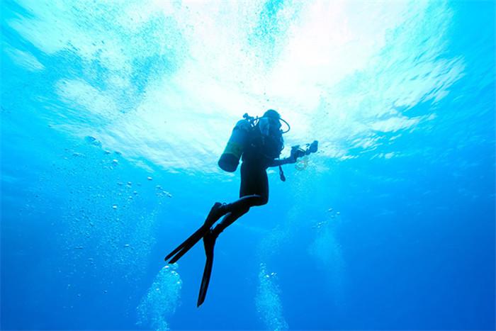 海之号角神秘海怪