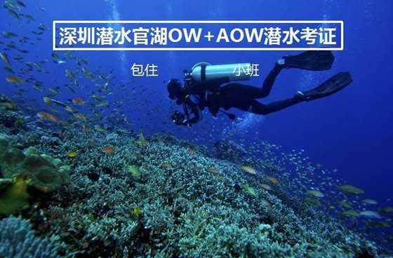 逗小猴开心之四个世界4