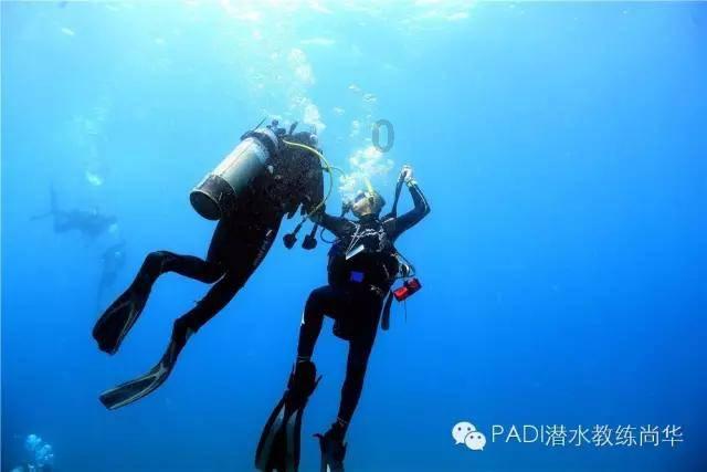 九王夺嫡 - 心态崩了的允禔：自曝把柄，又引爆老八，在送人头吗？