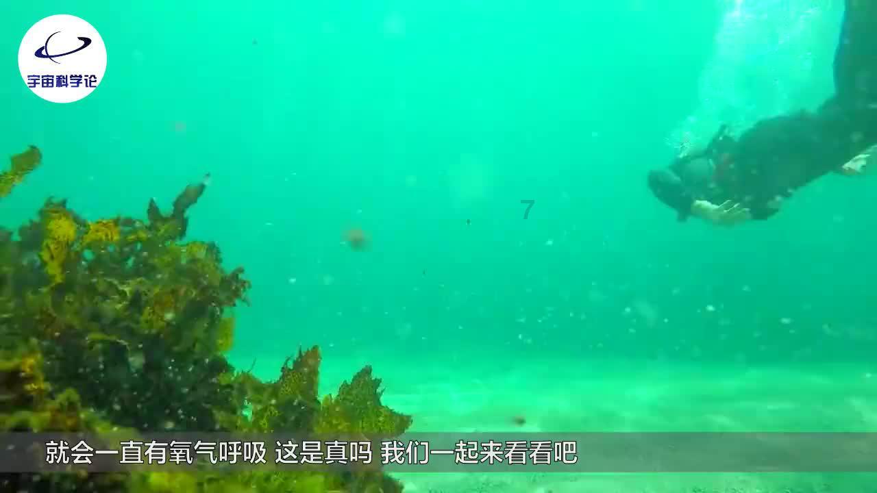 召唤神龙万宁版祖龙