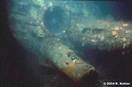 海滩小镇逃生