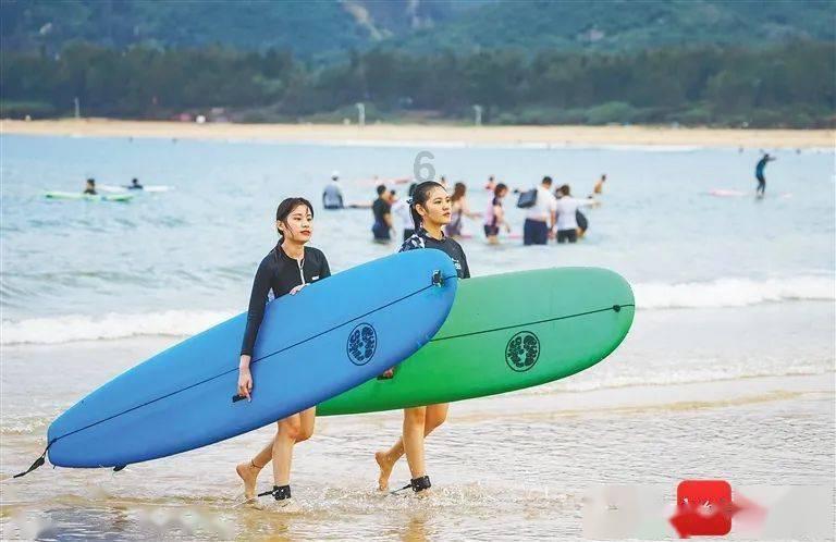 西藏墨脱县记录到金猫全球最高海拔分布