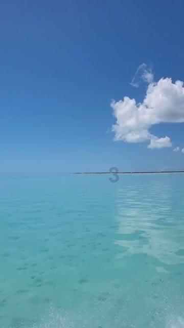 波黑德里纳河污染严重 居民健康和旅游业受影响