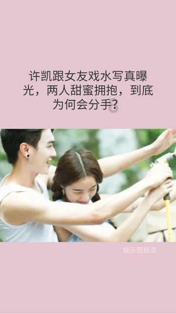 动物帮帮忙保卫家园