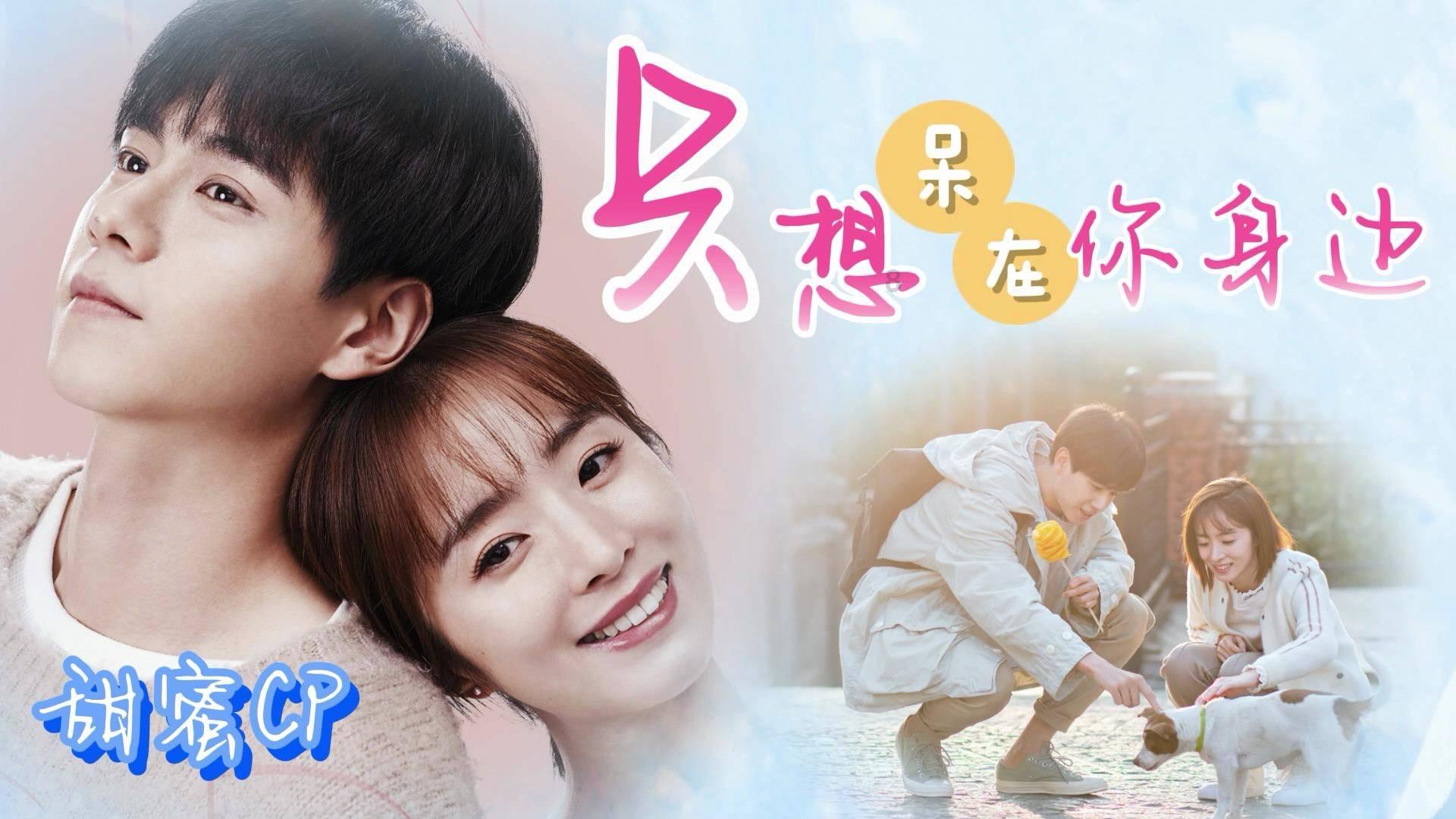“厦门实践”调研行|跟着无人机 追着鹭鸟看鹭岛
