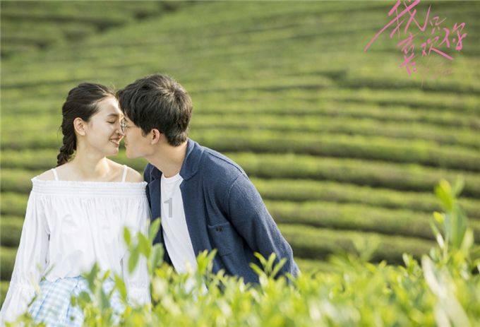虫虫助手下载