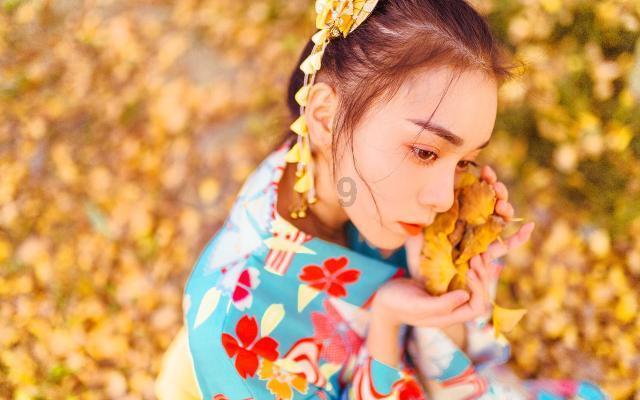 救援小棕兔