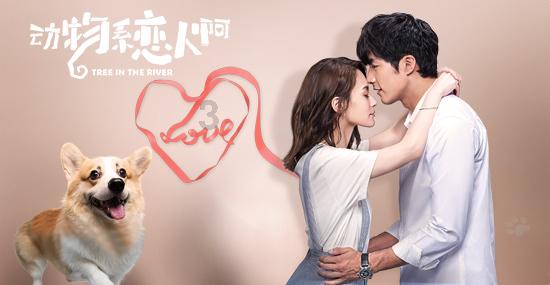小猫钓鱼正版下载中文版