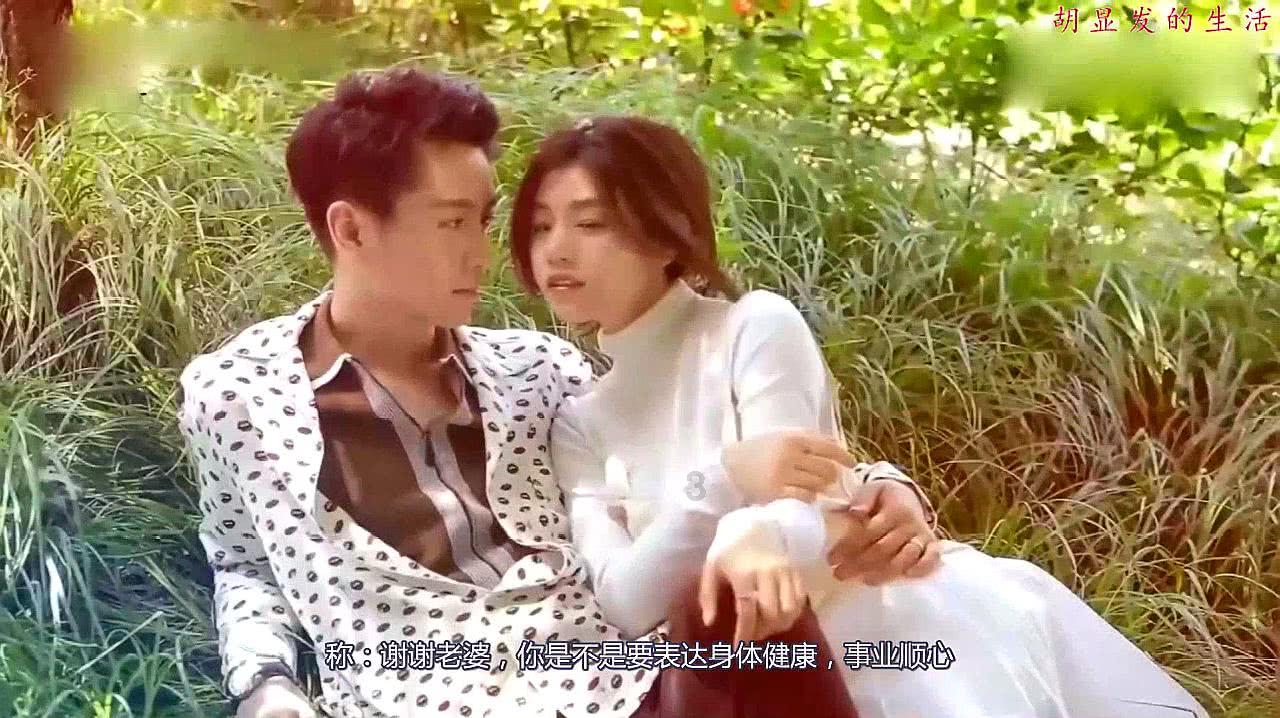 救援可爱的狮子