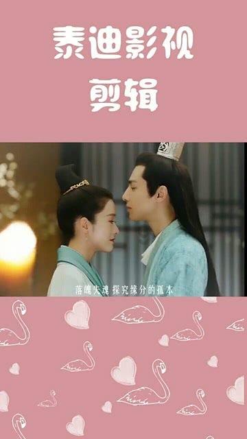 救援狗与猫
