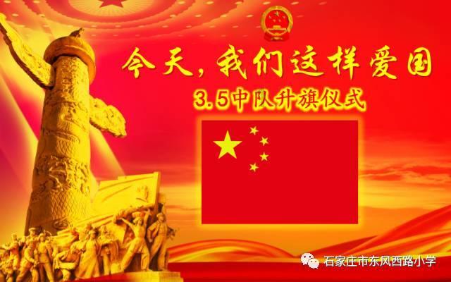 新手怎么要选择猫粮?游戏画面