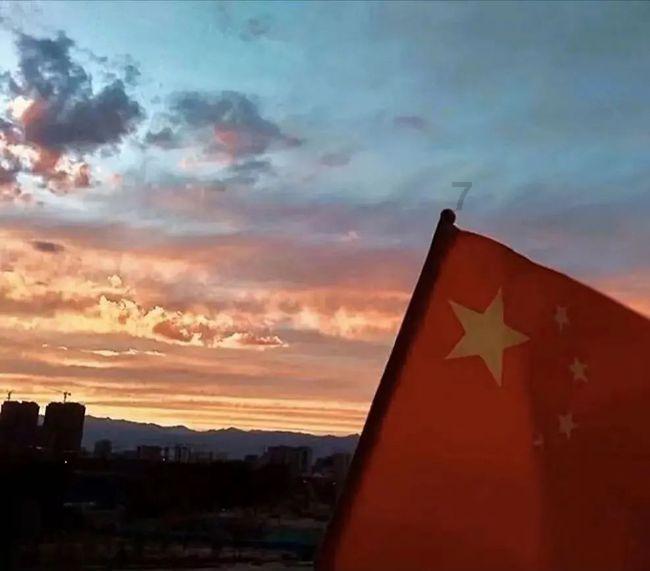 88影视