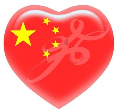 失忆的流浪者