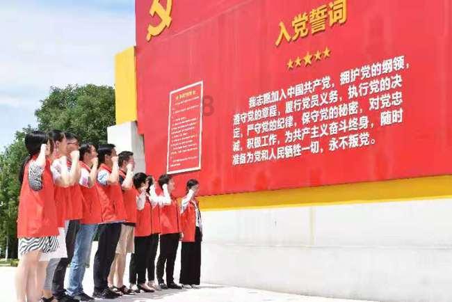 学习插花艺术