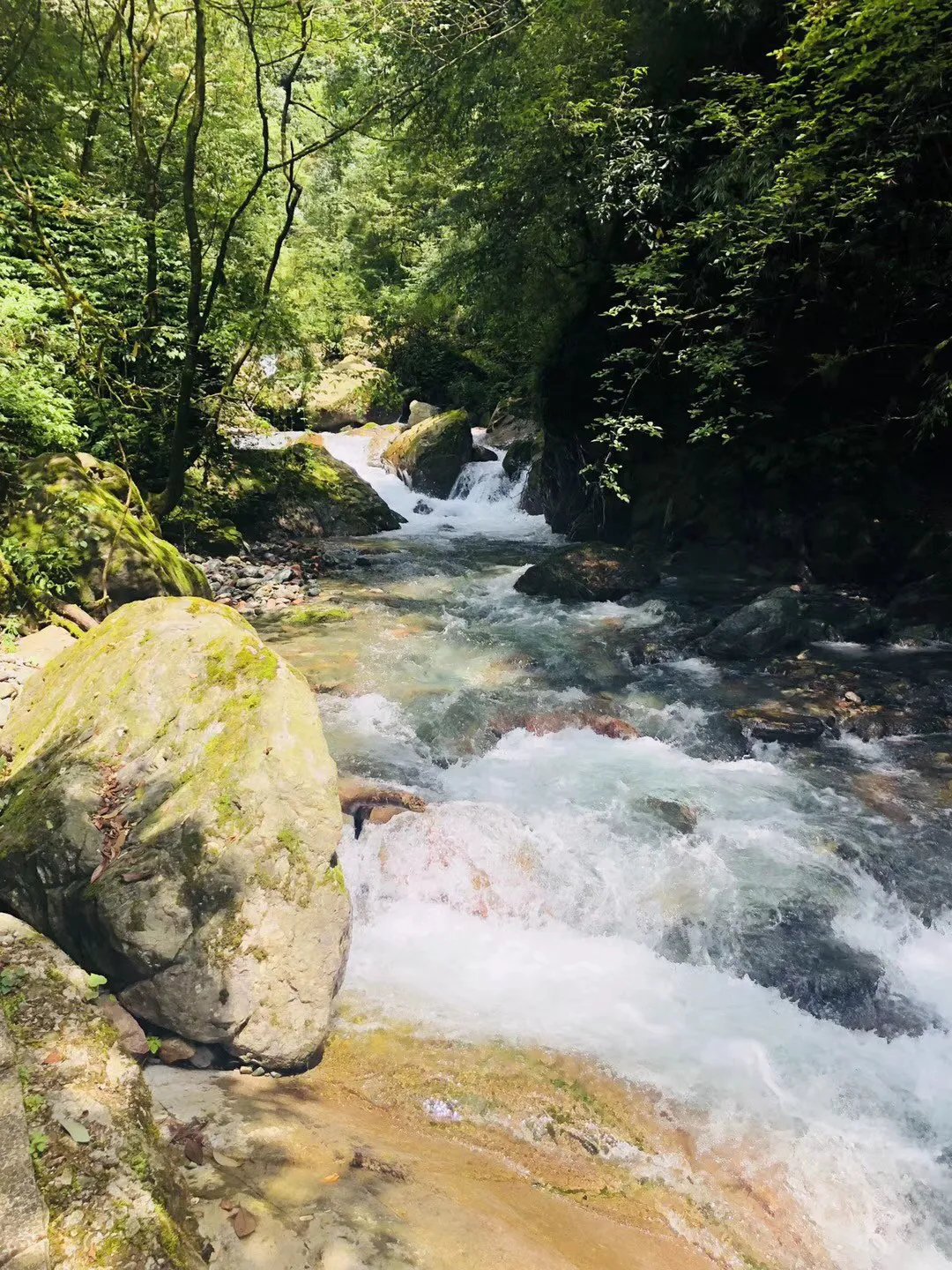 王傲世的梦