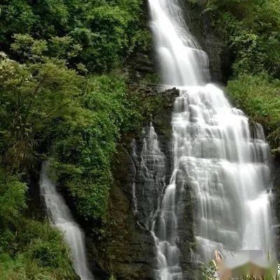 时装周模特