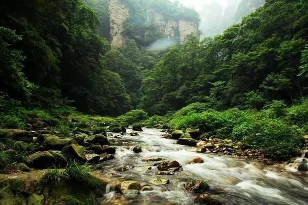 卫健统筹 医院协同育人才——北京市昌平卫生学校为顺义区卫生健康委员会赠送锦旗