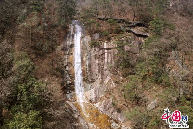 小汪汪