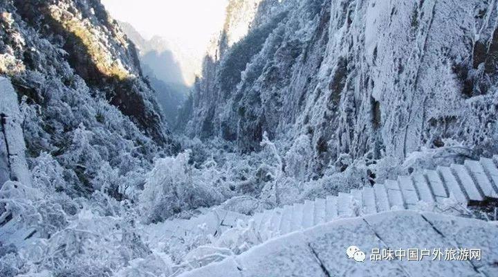 【地评线】河声丨多方发力破解求职“第一学历”歧视