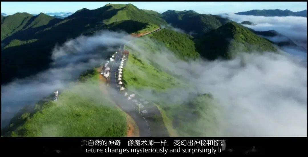 挥戈返日代表什么动物生肖