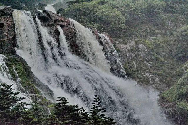 虫虫助手下载