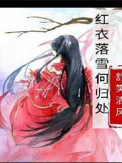 未知的岛屿