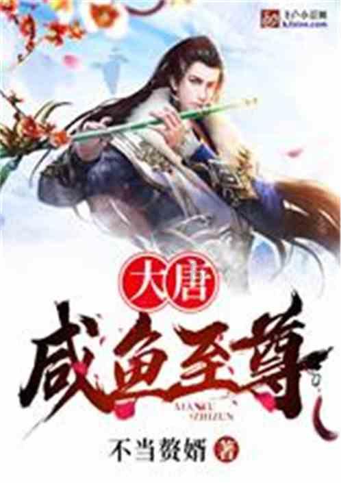 迷你汽车记忆卡