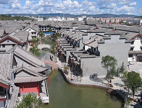 绿头鸭 | 物种科普