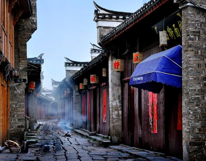 奥日与黑暗森林