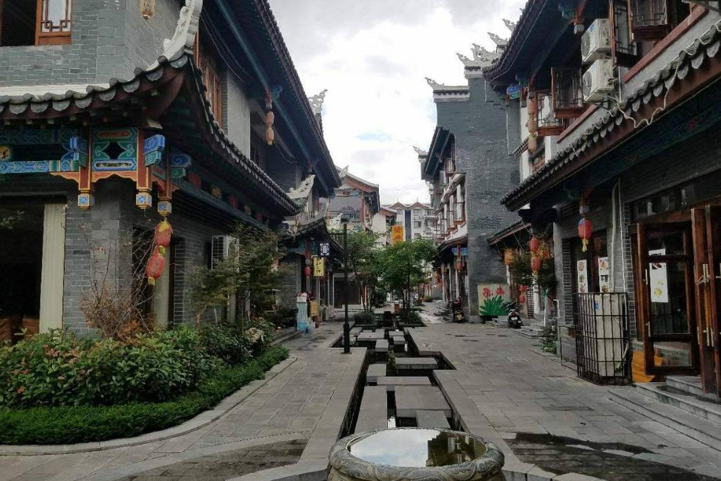 长期吃不上绿叶菜应补允何种维生素？游戏画面