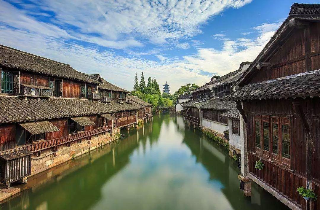 卡通骆驼救援