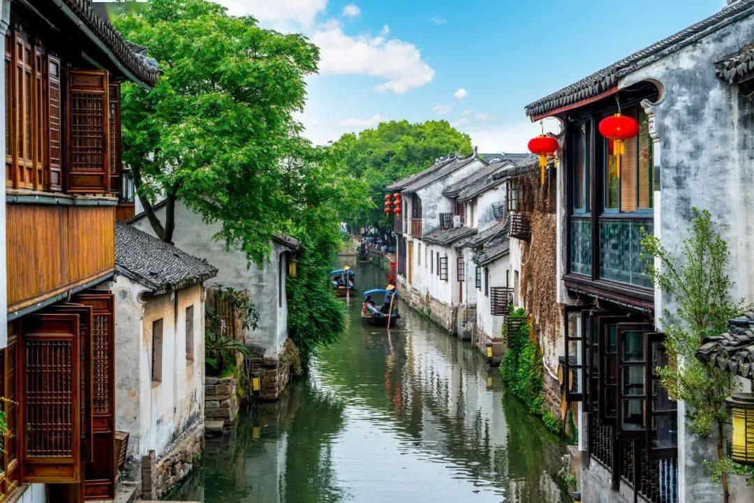 救援达尔马提亚狗