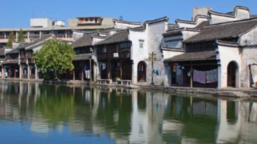 淘气兔救援