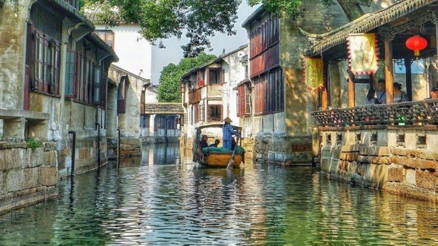 动物帮帮忙保卫家园