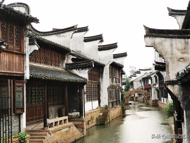 小狗救援行动选关版