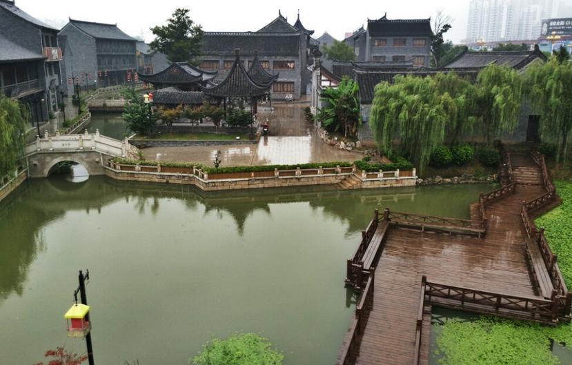 让动物飞一会