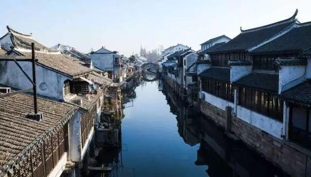 解救金刚鹦鹉